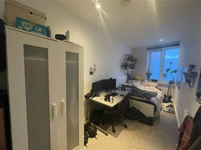 Picture 9